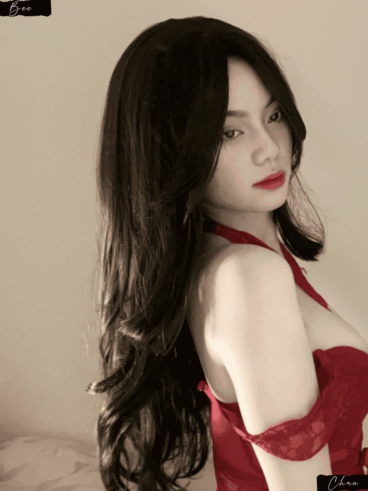 fd53867d 70ef 4342 b7a4 4c47dc878214